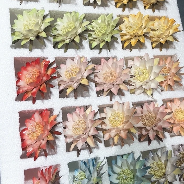 88.88一只拍了备注颜色