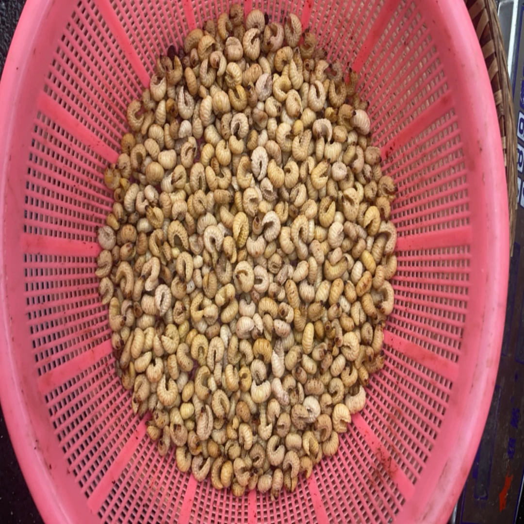 其他蔬菜特产传统滋补