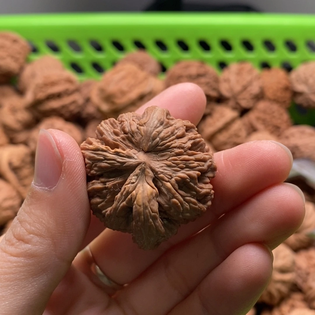 飞***觉核桃定制商品不退不换