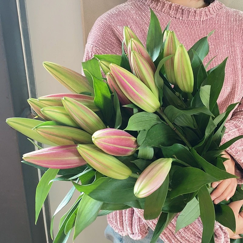 鲜花圆舞曲鲜切插花