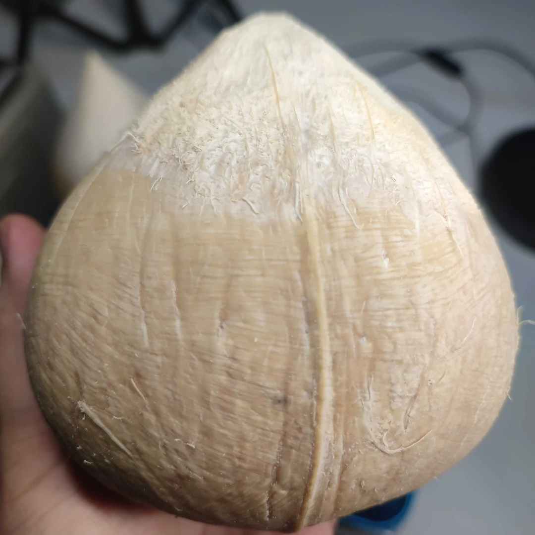 【巨无霸】泰国老树奶香椰皇超大果约750g/个椰子