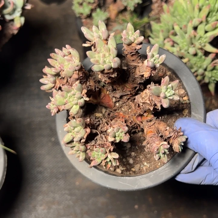 673哈哈哈哈哈哈哈哈哈