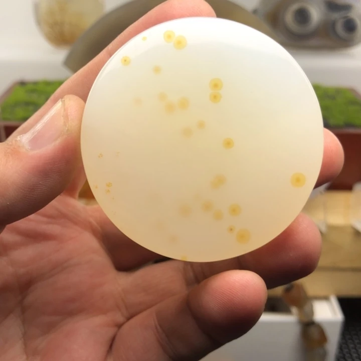 玛瑙/玉髓合金颈饰