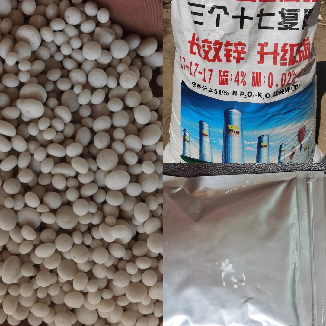 菊花肥料长效肥菊花小苗肥不伤根