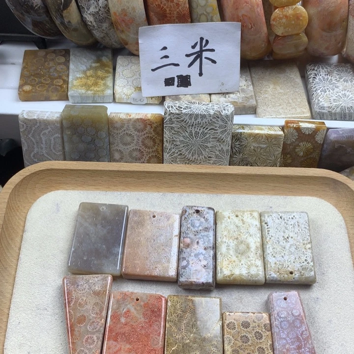 旅***徒硅化珊瑚（珊瑚玉）未镶嵌颈饰