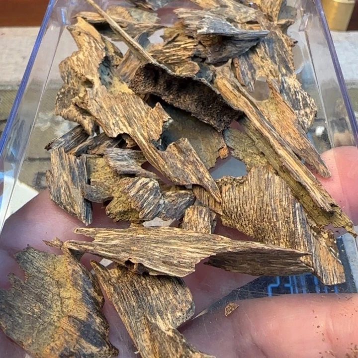 沉香摆件黎母山沉水虫漏16克