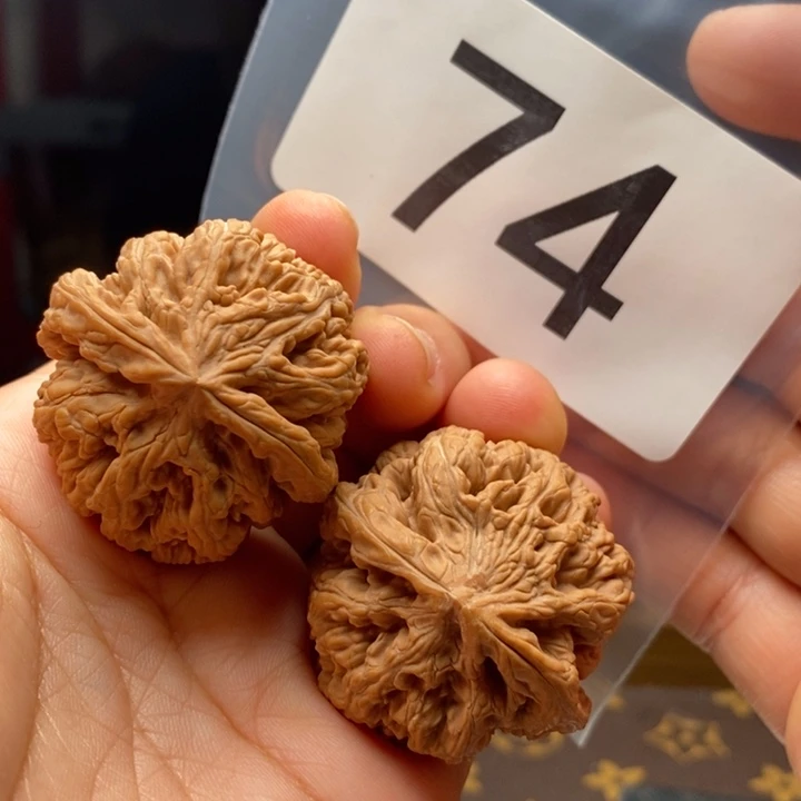 核桃74号，38尺粗筋