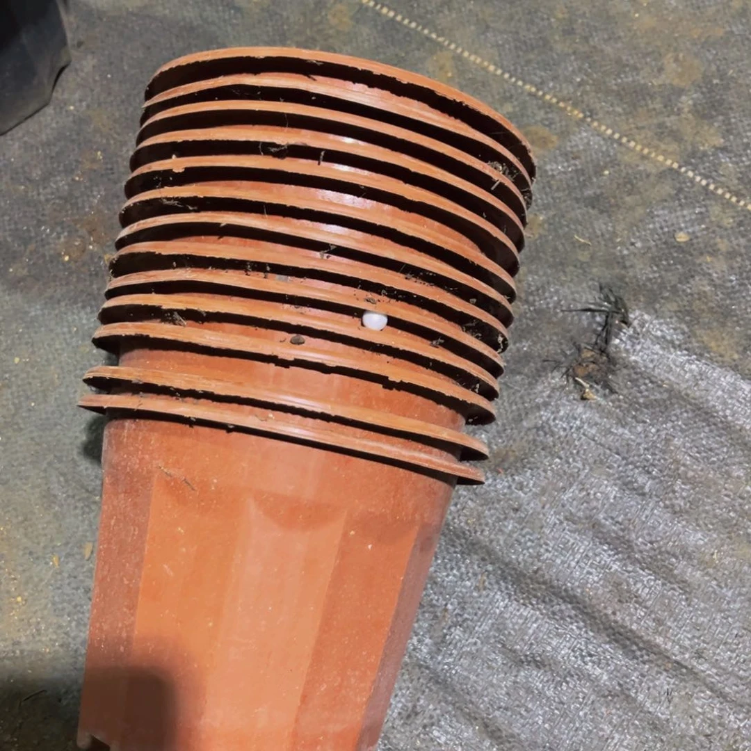 旧口径18 高度15红砖盆20个