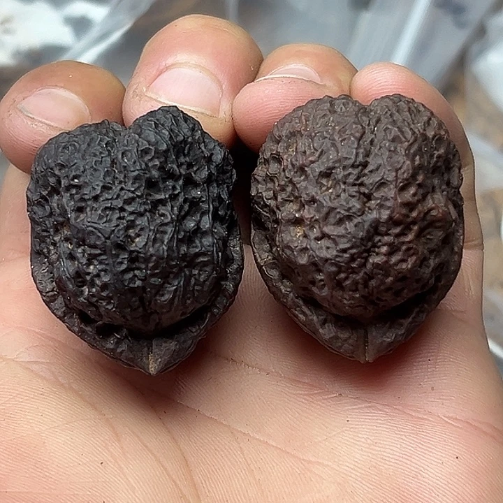 把件文玩核桃37号羊角金蟾40尺