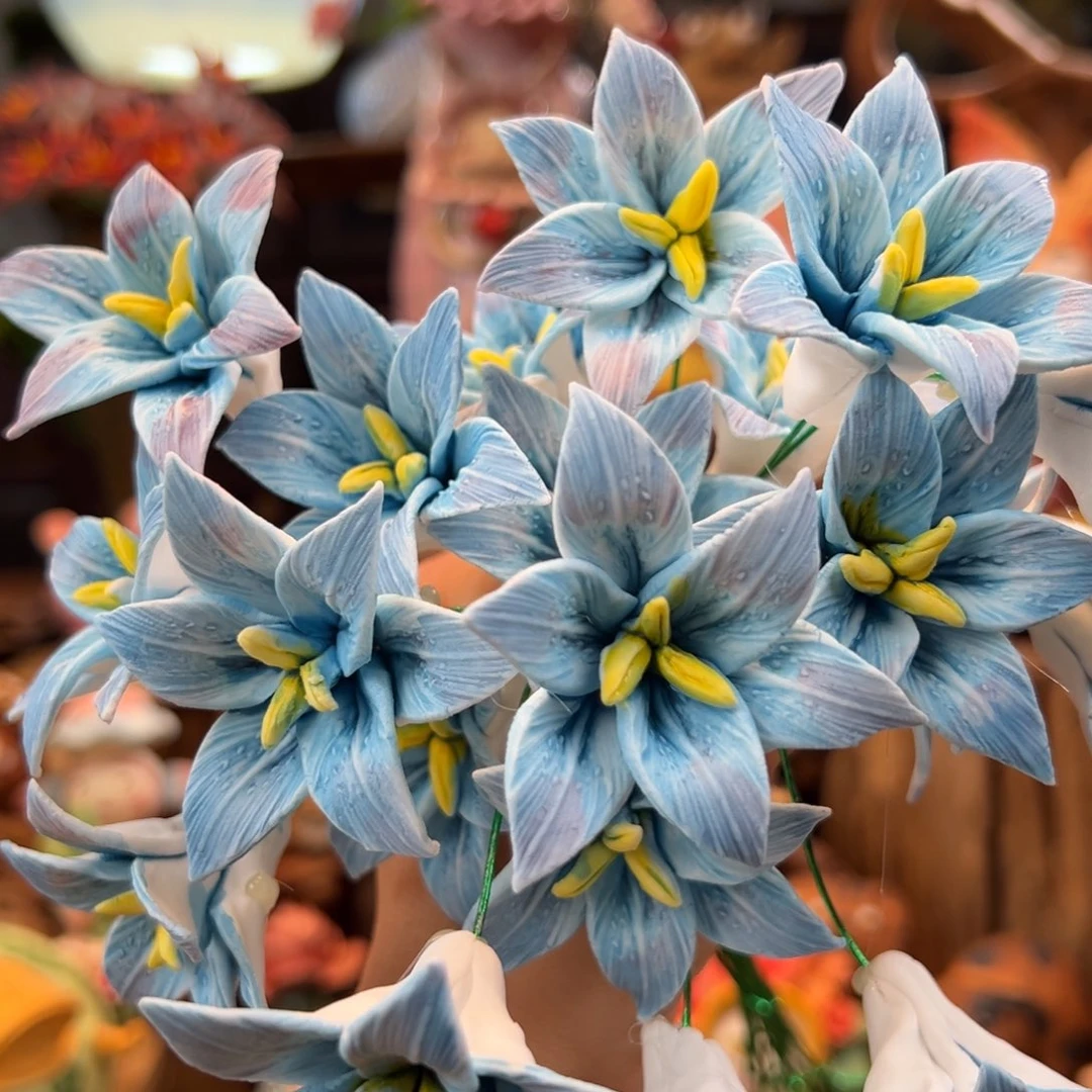 小镇青花每日有新品5个