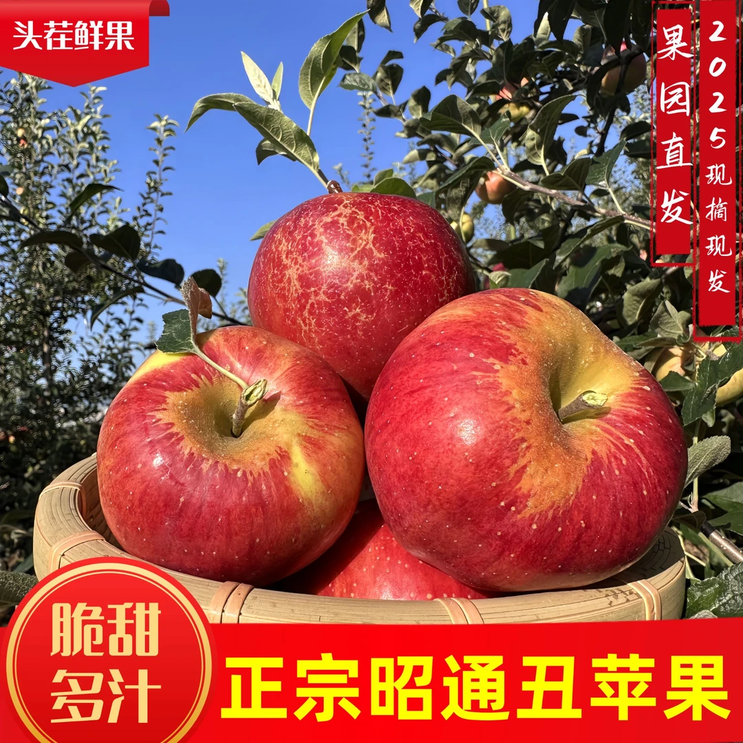 云南昭通丑苹果新鲜现摘冰糖心脆甜多汁水果