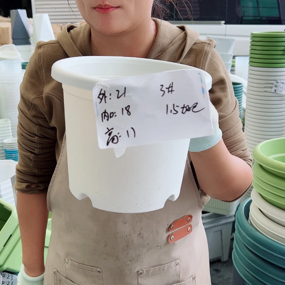 四季盆3#白色10个无托
