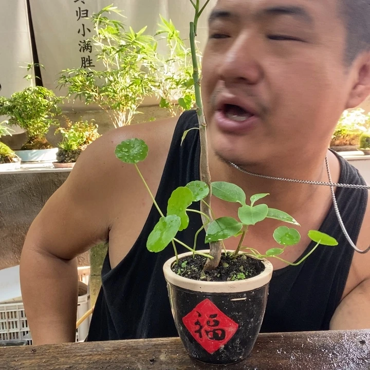 无花朵退款拉黑拉黑35