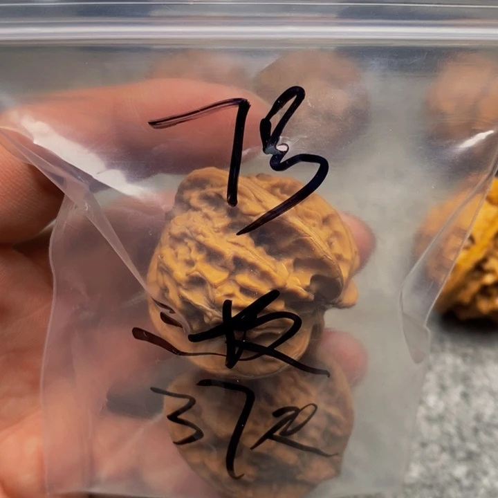 吊坠文玩核桃三棱