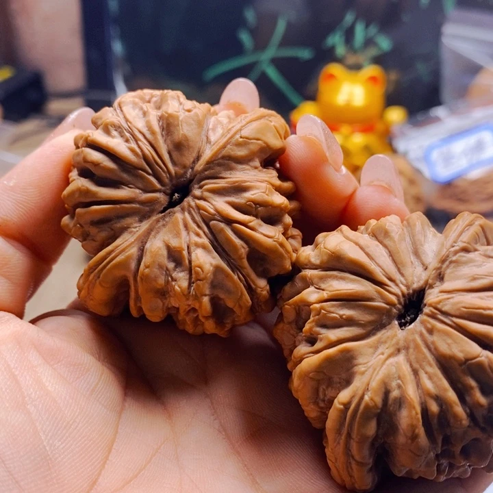 用***9把件文玩核桃龙鼎：有色差