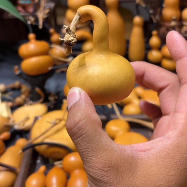 葫***娃葫芦111111111111111