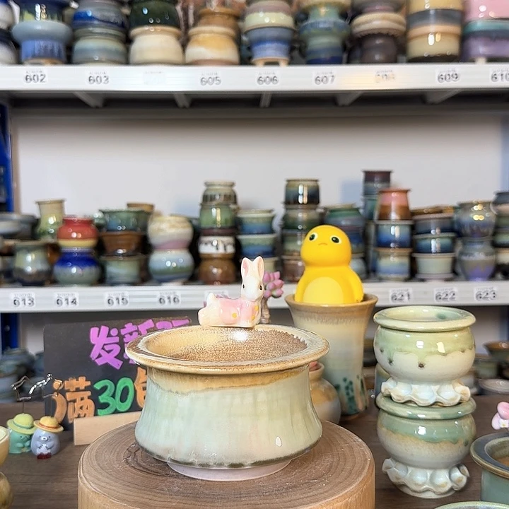 D****-景德镇手工陶瓷盆 口10