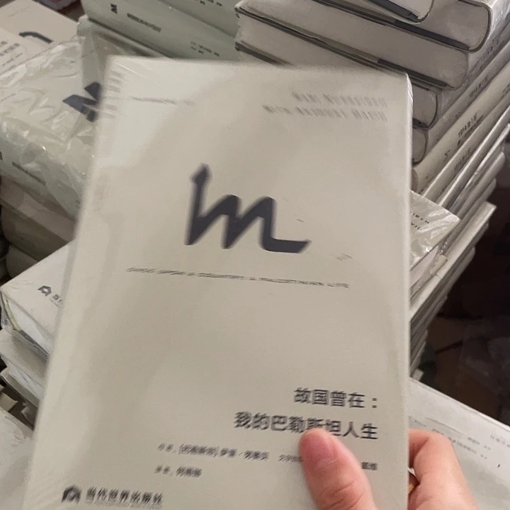 故国曾在：微瑕图书