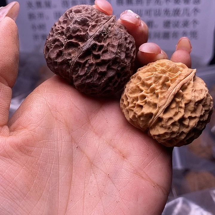 核桃云南野生铁核桃145号40mm