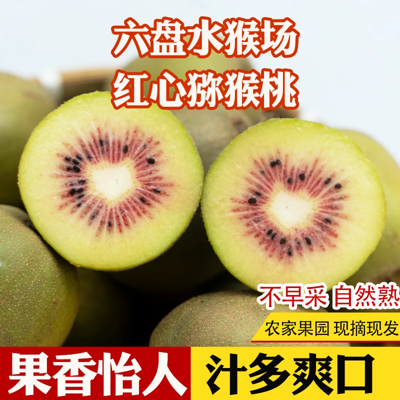 正宗红心猕猴桃现摘现发香甜新鲜水果精品大果坏果包赔
