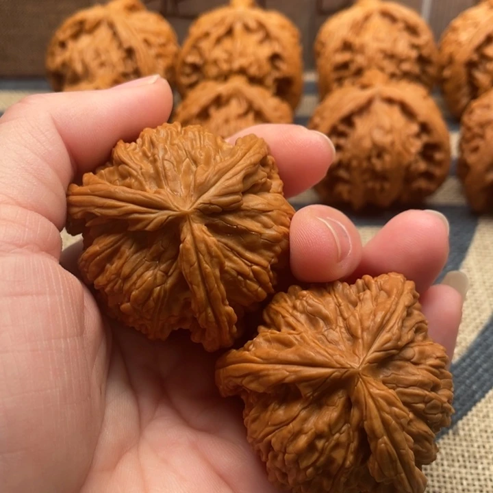 上***立石楠木白狮子43核桃