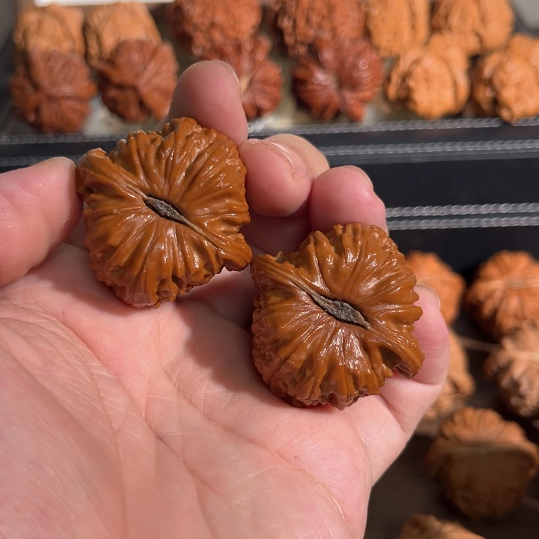 核桃手串/手链39回血大眼白狮子