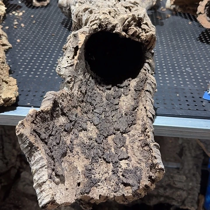 瓜***介无花朵一物一拍一物一发