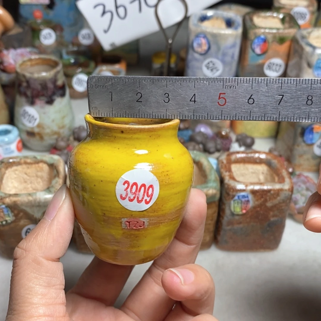 拍5送一个小礼物