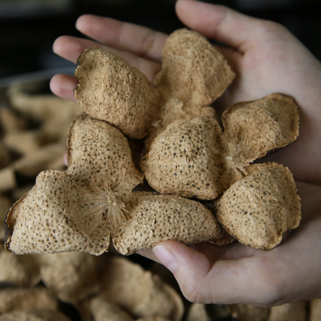 【2013 老树 圈枝 大青皮 樟香 药香 薄荷凉】梅冈产区 新会陈皮