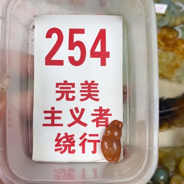 蛇纹石玉足银镀金镶嵌颈饰