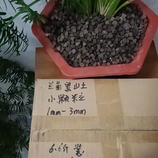 希***希兰菌黑山土小颗粒6.6斤