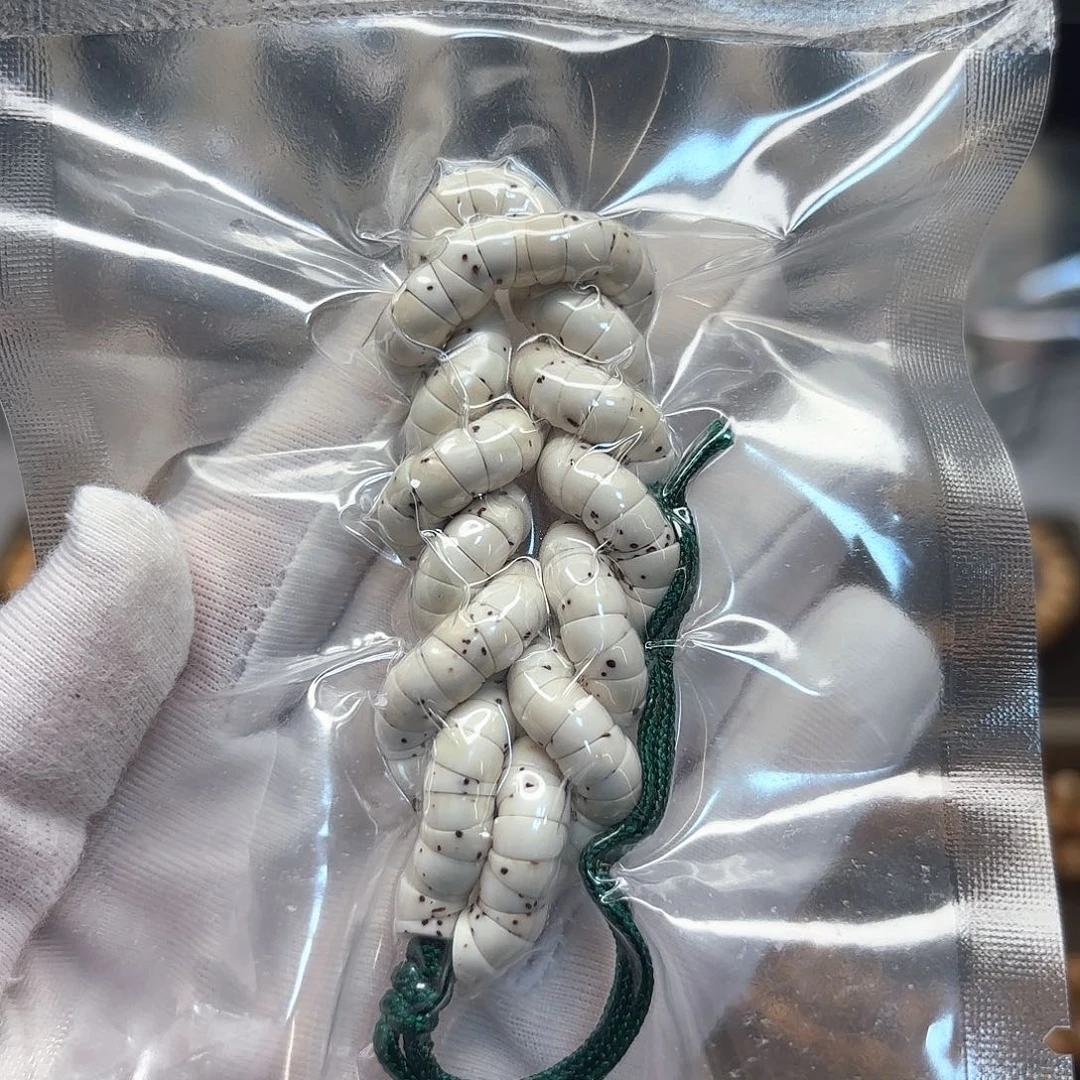 星月菩提吊坠原白大肠卡6星少
