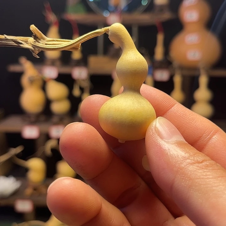 灿*啦啦啦啦咯摸摸弄