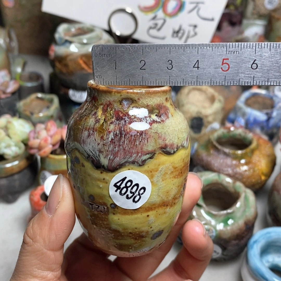 花盆拍5送一个小礼物