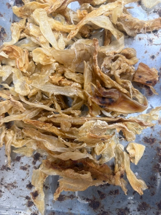 碎胶介意的请慎拍