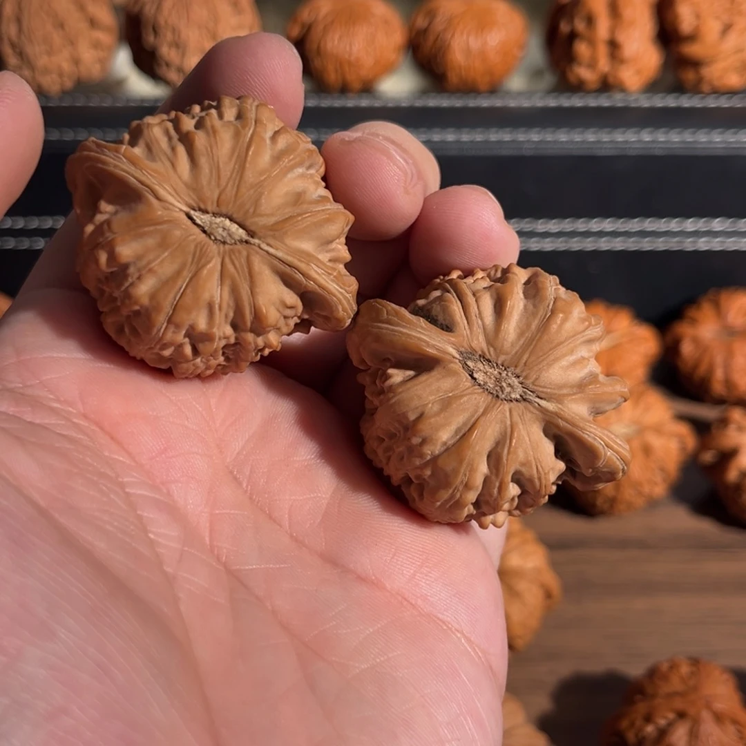 手串/手链核桃44全品毕业球白