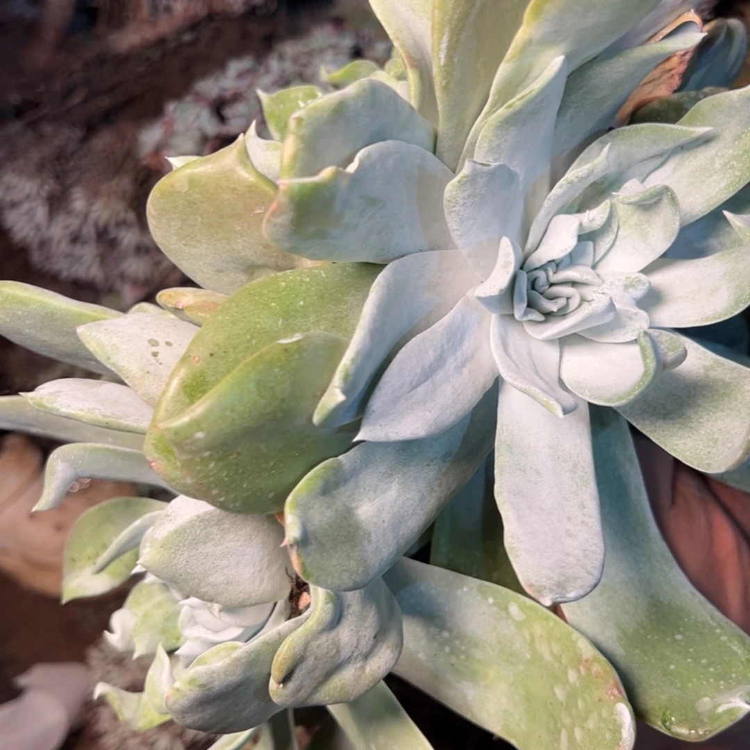 2024哈哈哈哈哈哈哈哈哈