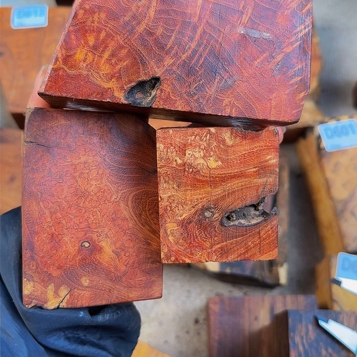 木_****徒小叶羊蹄甲瘤疤小料3个