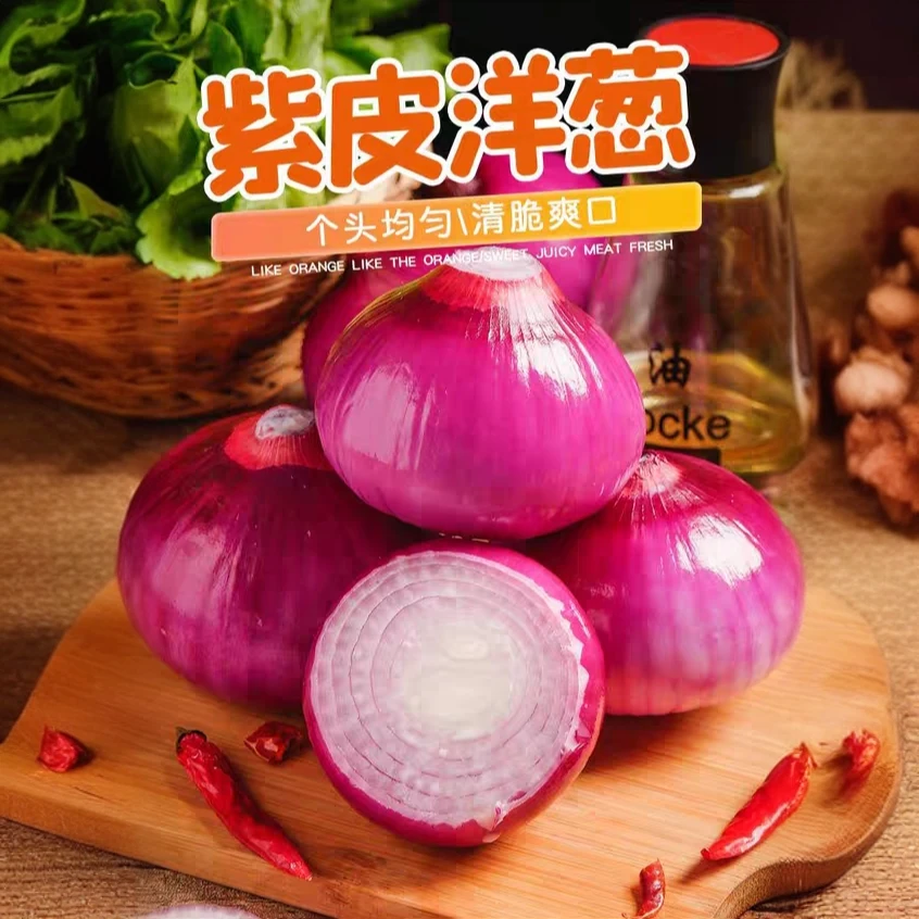 【2025新洋葱】山东紫皮红皮水果洋葱新鲜现挖可生吃脆甜蔬菜