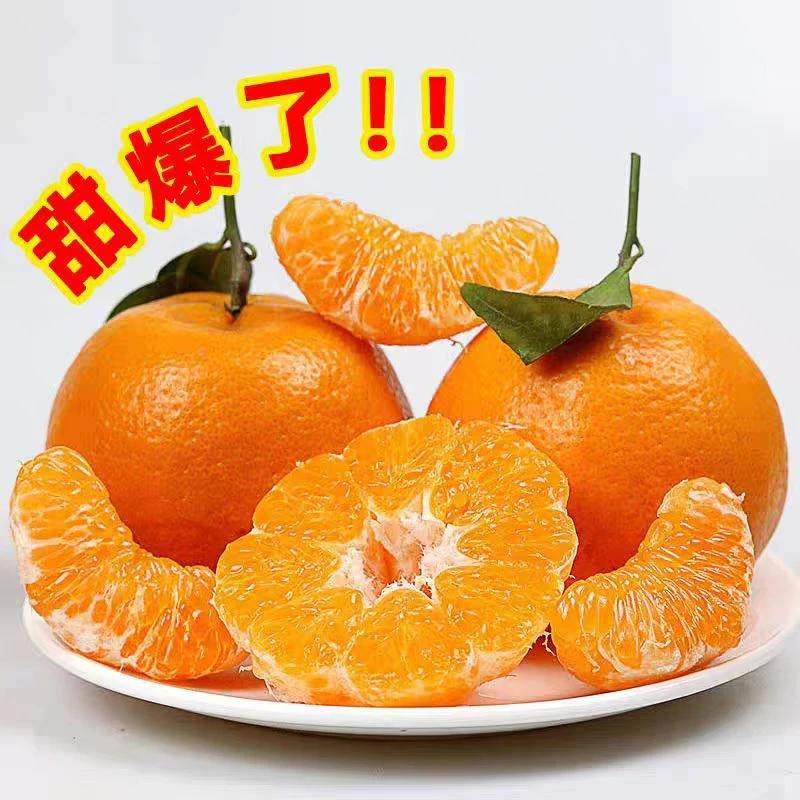 正宗四川春见耙耙柑新鲜水果橘子精品大果礼盒粑粑柑包邮耙耙柑G四川省四川省