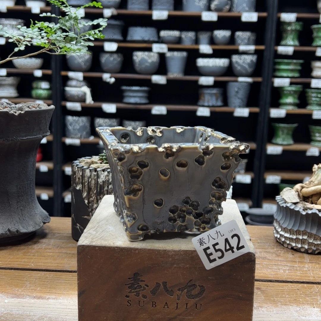 素八九陶瓷内口9.5高8.5