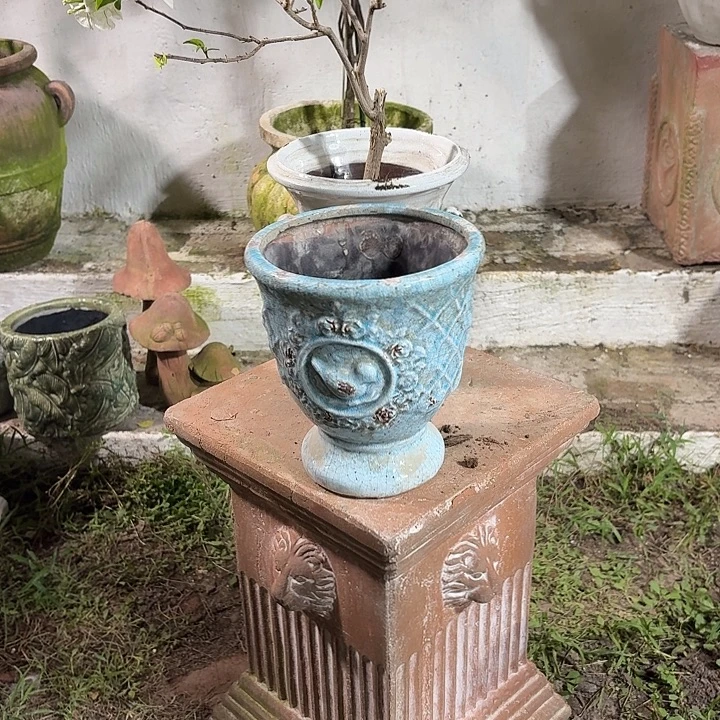 许纯的花房 冰裂鸟盆