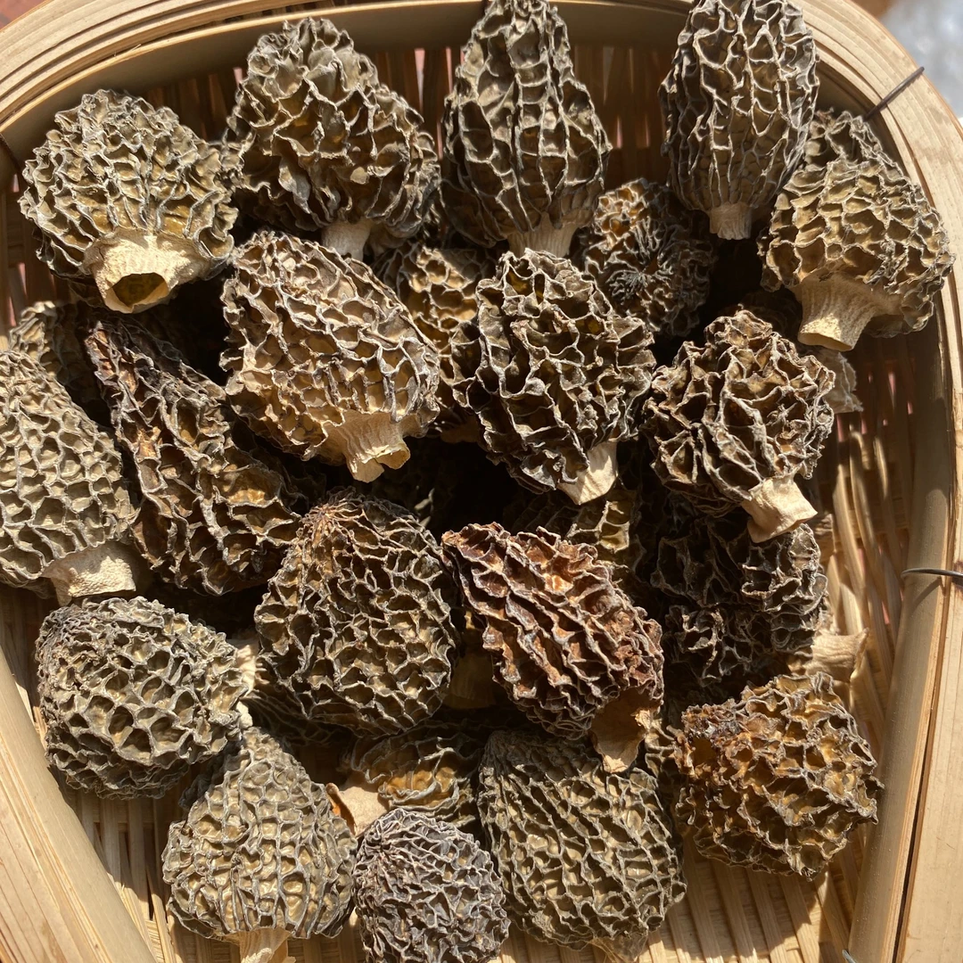 云南高原草莓型羊肚菌小草莓羊肚菌60g新货