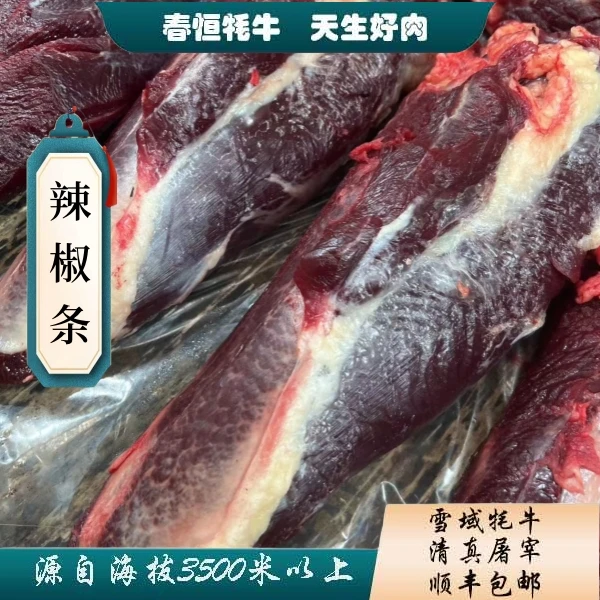 【金钱腱】4斤 有牦牛毛  青藏高原牦牛肉