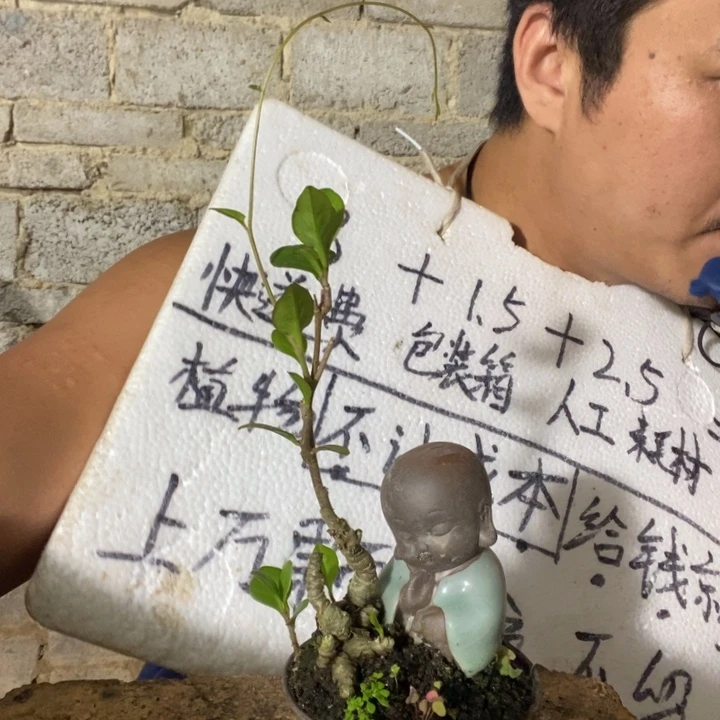 退款拉黑一物一拍308