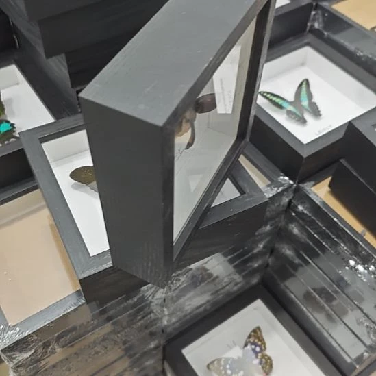 小***雨猫耳朵橙粉蝶定制加厚框