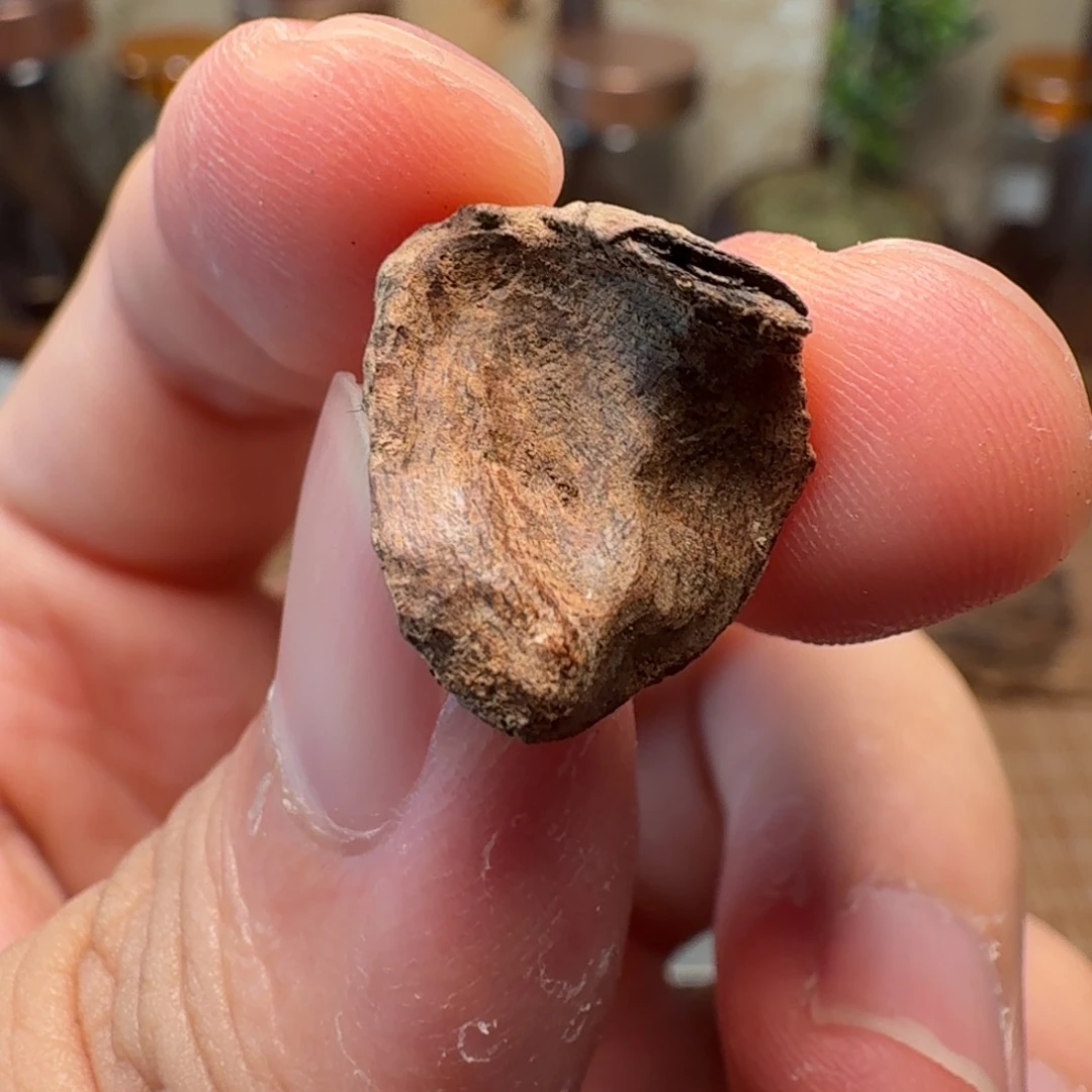 沉香海南熟结老料