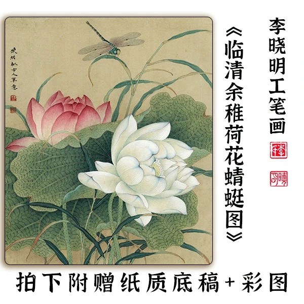 李晓明《临清余稚荷花蜻蜓图》视频教学 45*50cm送实物底稿