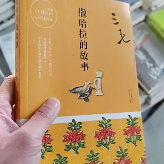 三毛撒哈拉的故事