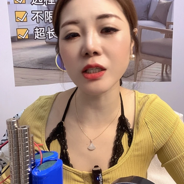 标准单电池带录音套盒2个